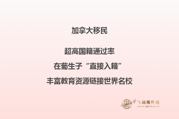 加拿大簽證網上申請進度查詢申請號是什么