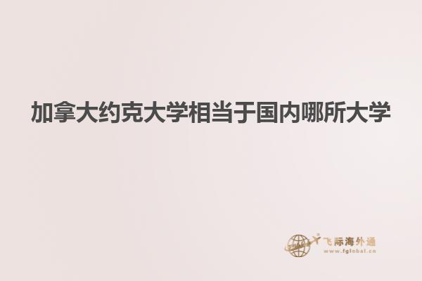 加拿大約克大學相當于國內哪所大學
