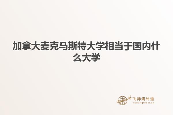 加拿大麥克馬斯特大學相當于國內什么大學