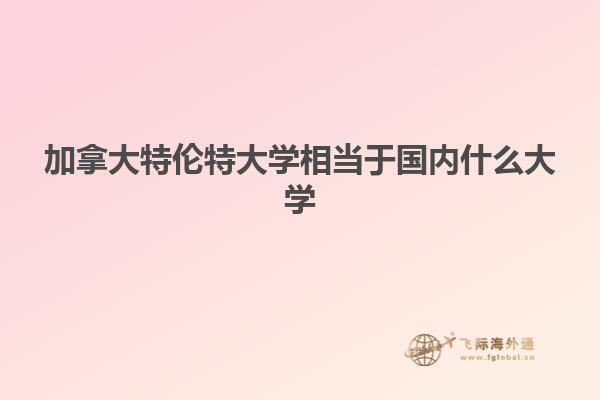 加拿大特倫特大學相當于國內什么大學