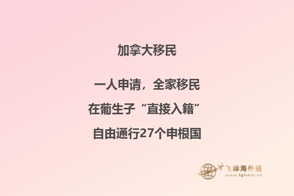 在加拿大大學法律專業好找工作嗎