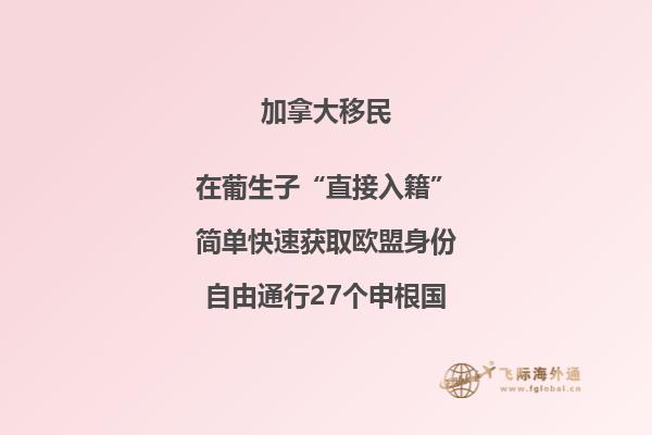 加拿大50歲以上免費移民政策 養老金