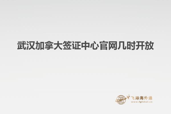 武漢加拿大簽證中心官網幾時開放