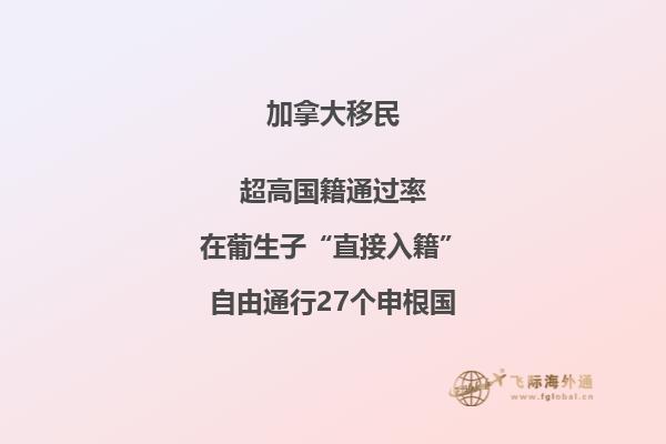 美國和加拿大的關系那年開始親密接觸