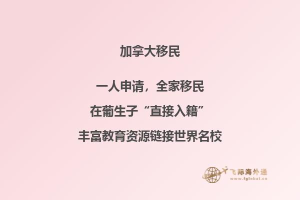 加拿大有哪些大學不用考gre和gmat