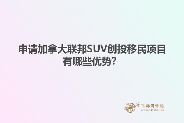 申請加拿大聯邦SUV創投移民項目有哪些優勢？