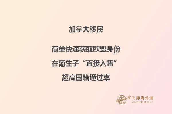 解讀加拿大工簽創業移民要求及申請流程,助您圓夢加國創業之路