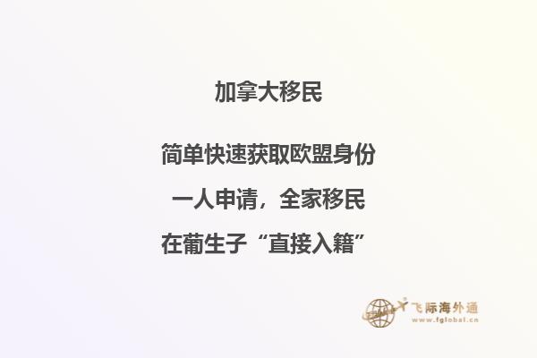 加拿大SUV移民條件，暢享加國自由與豪華！