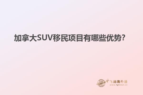加拿大SUV移民項目有哪些優勢？