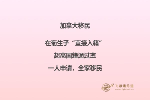 加拿大投資移民,開啟留學生創業新篇章