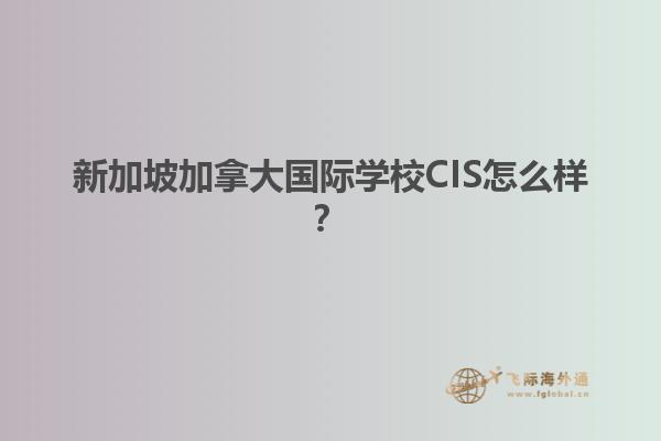 新加坡加拿大國際學校CIS怎么樣？