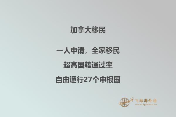 新加坡加拿大國際學校CIS怎么樣？