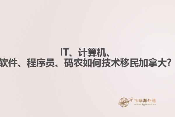 IT、計算機、軟件、程序員、碼農如何技術移民加拿大？