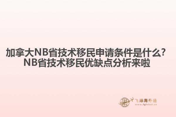 加拿大NB省技術移民申請條件是什么？NB省技術移民優缺點分析來啦 