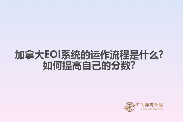 加拿大EOI系統的運作流程是什么？如何提高自己的分數？1.jpg