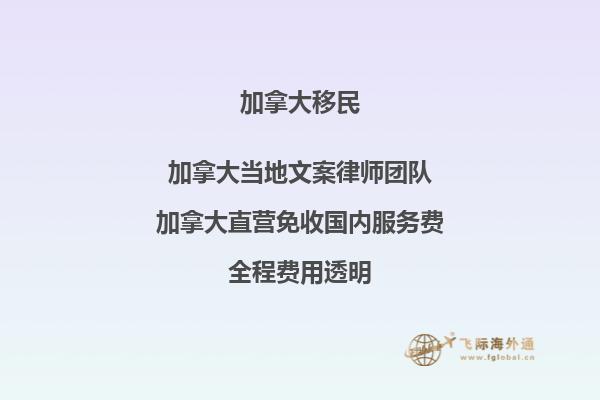 疫情對加拿大移民有何影響？如何應對？