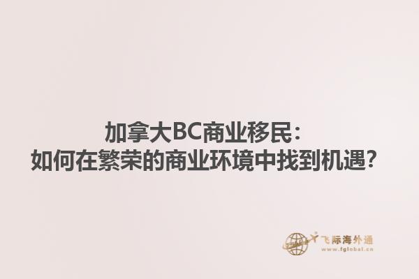 加拿大BC商業移民：如何在繁榮的商業環境中找到機遇？