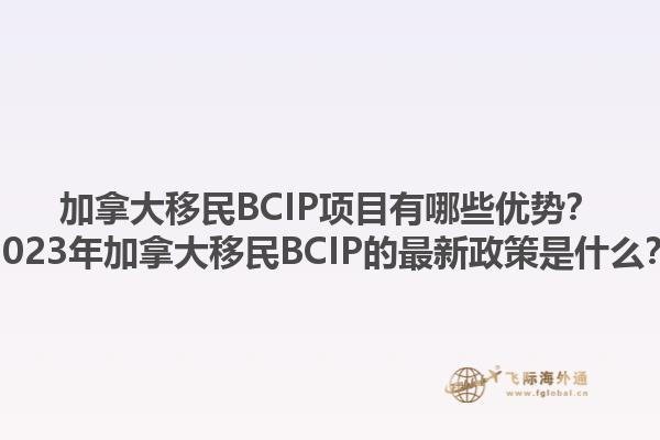 加拿大移民BCIP項目有哪些優勢？2023年加拿大移民BCIP的最新政策是什么？