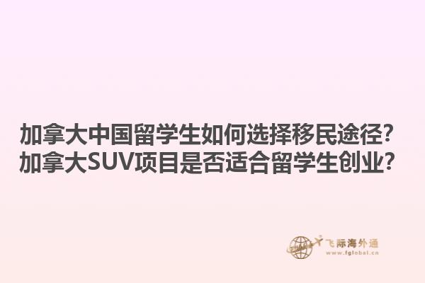 加拿大中國留學生如何選擇移民途徑？加拿大SUV項目是否適合留學生創業？