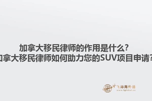 加拿大移民律師的作用是什么？加拿大移民律師如何助力您的SUV項目申請？