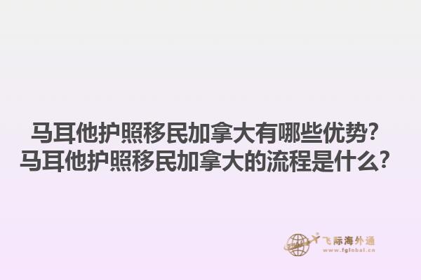 馬耳他護照移民加拿大有哪些優勢？馬耳他護照移民加拿大的流程是什么？1.jpg