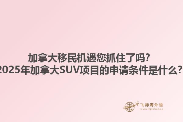 加拿大移民機遇您抓住了嗎？2025年加拿大SUV項目的申請條件是什么？