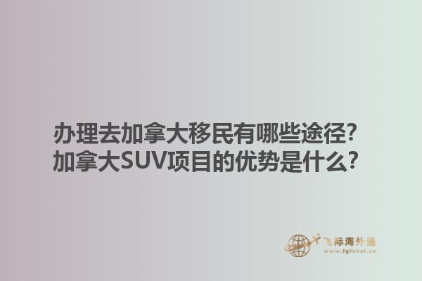 辦理去加拿大移民有哪些途徑？加拿大SUV項目的優勢是什么？