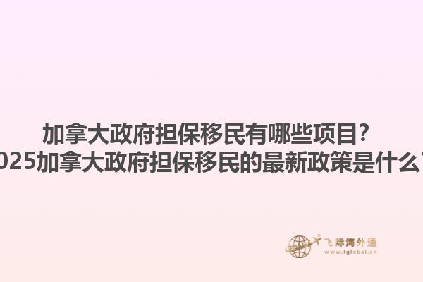 加拿大政府擔保移民有哪些項目？2025加拿大政府擔保移民的最新政策是什么？