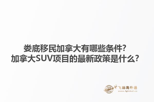 婁底移民加拿大有哪些條件？加拿大SUV項目的最新政策是什么？