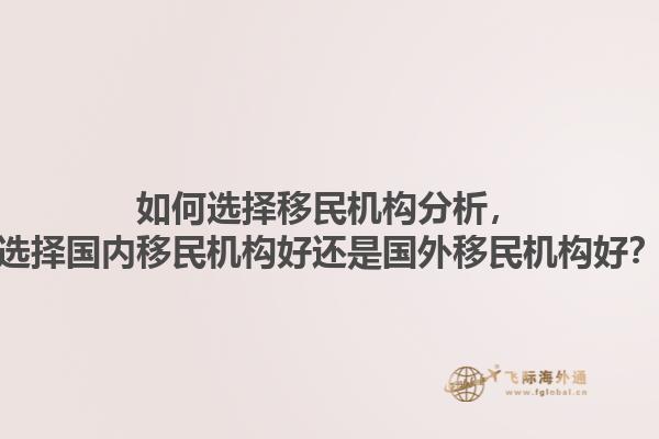 如何選擇移民機構分析，選擇國內移民機構好還是國外移民機構好？1.jpg