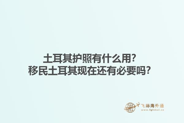 土耳其護照有什么用？移民土耳其現在還有必要嗎？1.jpg