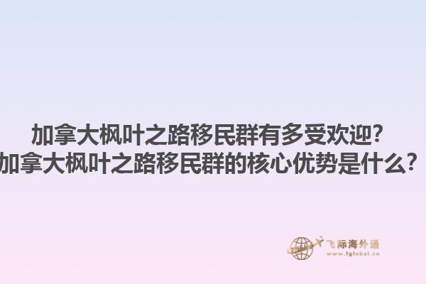 加拿大楓葉之路移民群有多受歡迎？加拿大楓葉之路移民群的核心優勢是什么？1.jpg