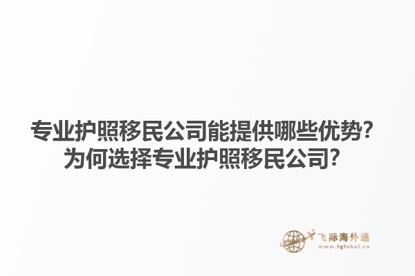 專業護照移民公司能提供哪些優勢？為何選擇專業護照移民公司？1.jpg