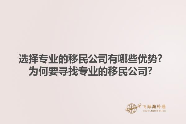 選擇專業的移民公司有哪些優勢？為何要尋找專業的移民公司？1.jpg