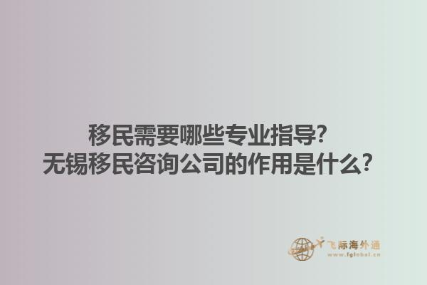 移民需要哪些專業指導？無錫移民咨詢公司的作用是什么？1.jpg
