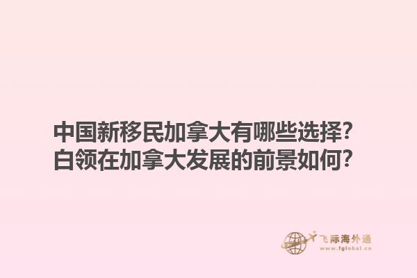 中國新移民加拿大有哪些選擇？白領在加拿大發展的前景如何？1.jpg