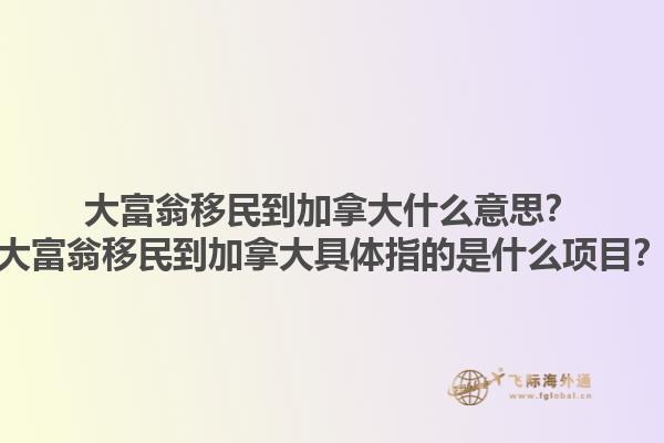 大富翁移民到加拿大什么意思？大富翁移民到加拿大具體指的是什么項目？1.jpg