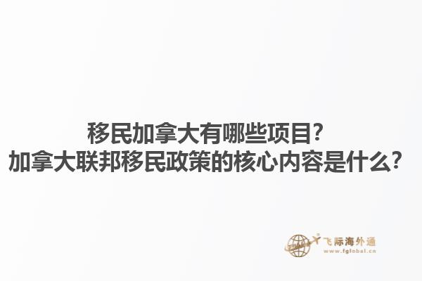 移民加拿大有哪些項目？加拿大聯邦移民政策的核心內容是什么？1.jpg