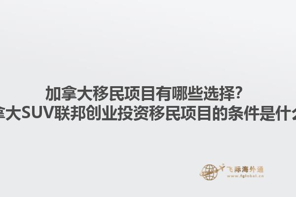加拿大移民項目有哪些選擇？加拿大SUV聯邦創業投資移民項目的條件是什么？1.jpg