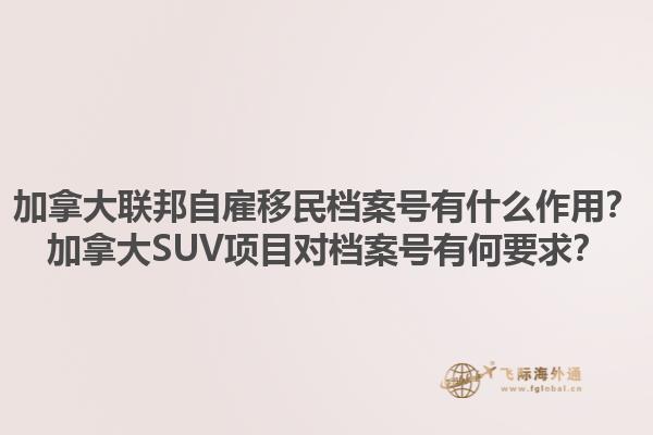 加拿大聯邦自雇移民檔案號有什么作用？加拿大SUV項目對檔案號有何要求？1.jpg