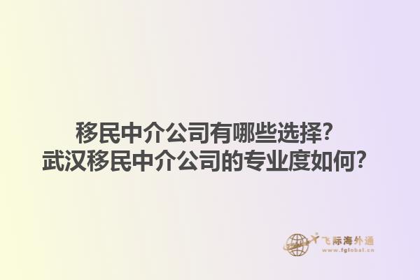 移民中介公司有哪些選擇？武漢移民中介公司的專業度如何？1.jpg