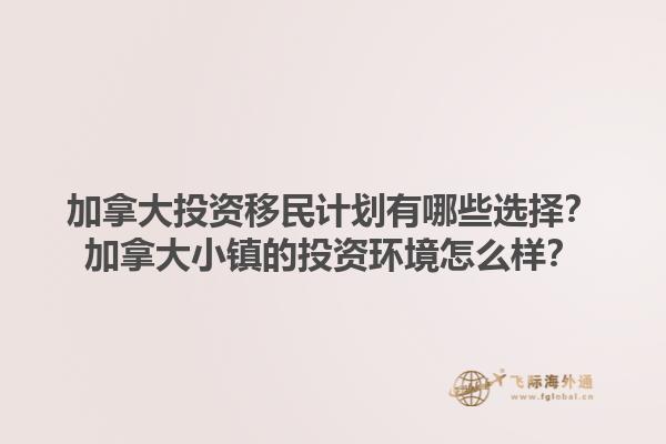 加拿大投資移民計劃有哪些選擇？加拿大小鎮的投資環境怎么樣？1.jpg