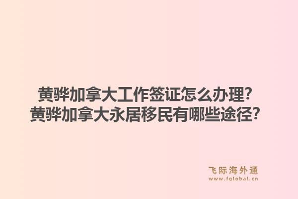 黃驊加拿大工作簽證怎么辦理？黃驊加拿大永居移民有哪些途徑？1.jpg