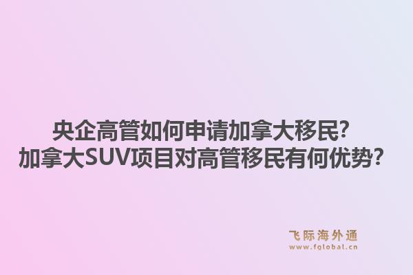 央企高管如何申請加拿大移民？加拿大SUV項目對高管移民有何優勢？1.jpg