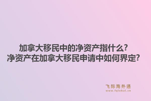 加拿大移民中的凈資產指什么？凈資產在加拿大移民申請中如何界定？1.jpg