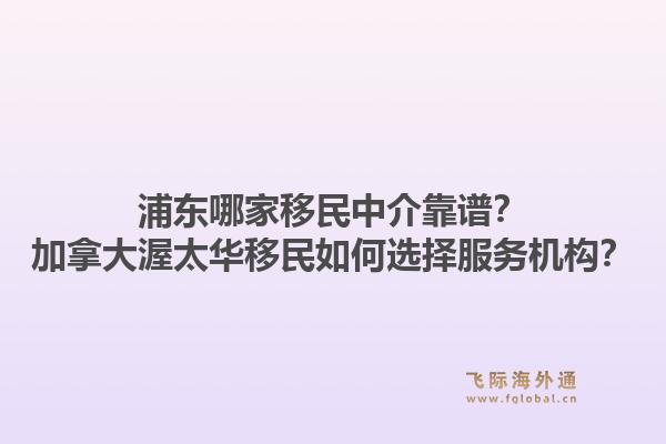 浦東哪家移民中介靠譜？加拿大渥太華移民如何選擇服務機構？1.jpg