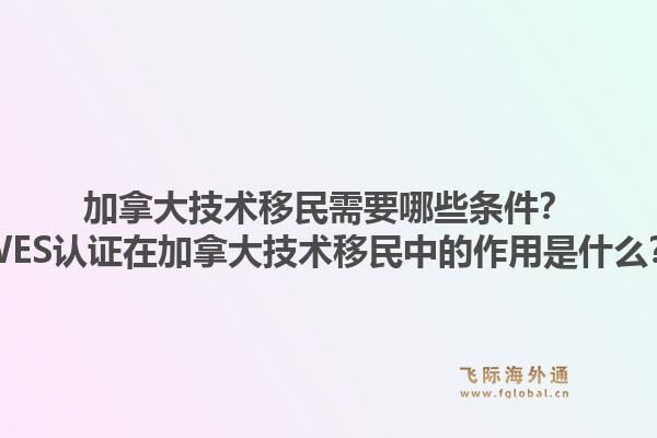 加拿大技術移民需要哪些條件？WES認證在加拿大技術移民中的作用是什么？1.jpg