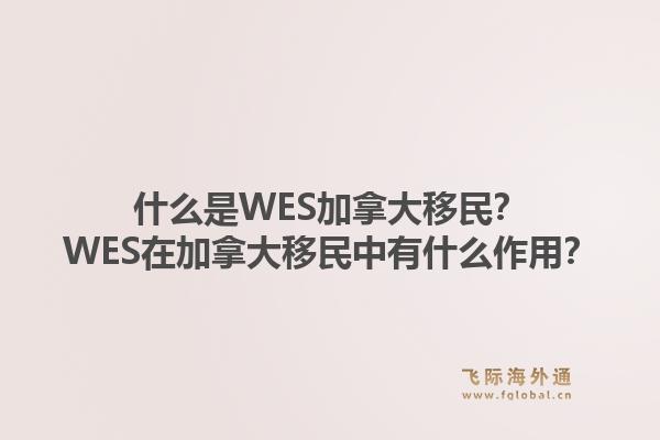 什么是WES加拿大移民？WES在加拿大移民中有什么作用？1.jpg