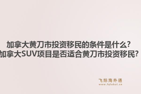 加拿大黃刀市投資移民的條件是什么？加拿大SUV項目是否適合黃刀市投資移民？